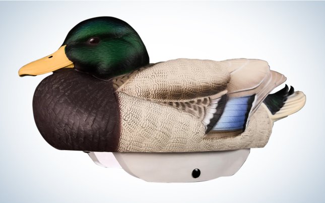 Heyday HydroFoam Mallards are the best lightweight.