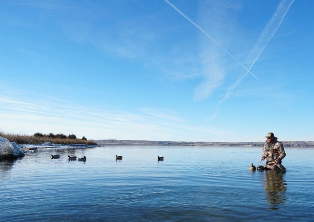 Author setting up the best duck decoys.