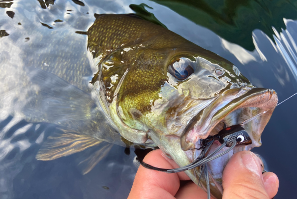 Why Black Lures Catch So Many Fish | Outdoor Life