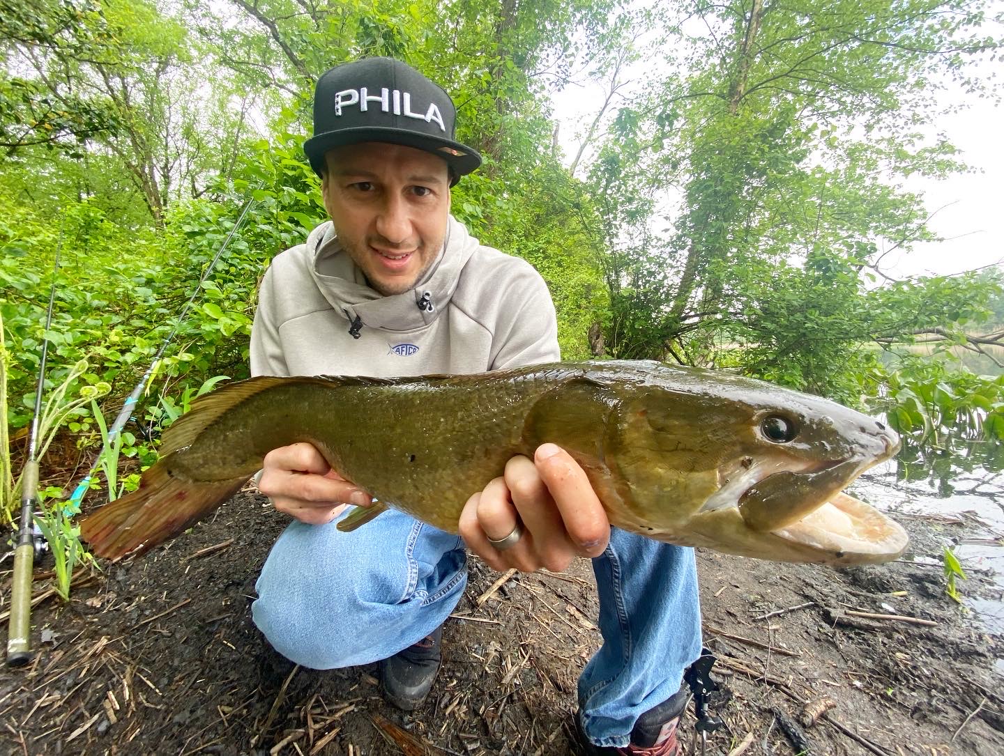 Els 10 peixos d'aigua dolça més infravaloratsEls 10 peixos d'aigua dolça més infravalorats  