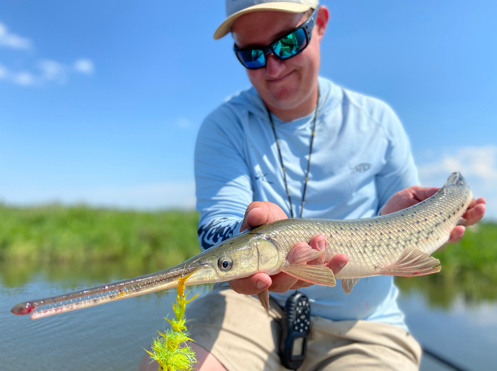 Els 10 peixos d'aigua dolça més infravaloratsEls 10 peixos d'aigua dolça més infravalorats  