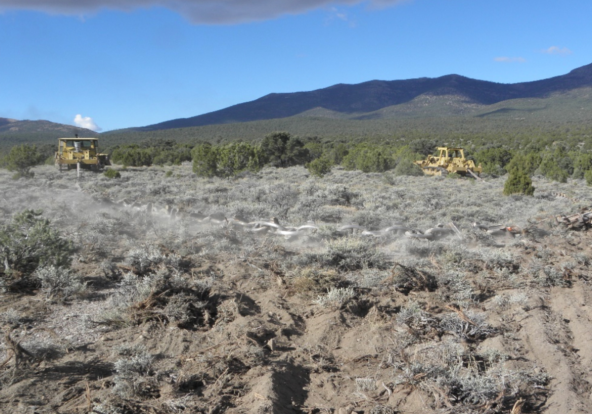 The 12-ton Ely Chain works across pinyon-juniper forest.