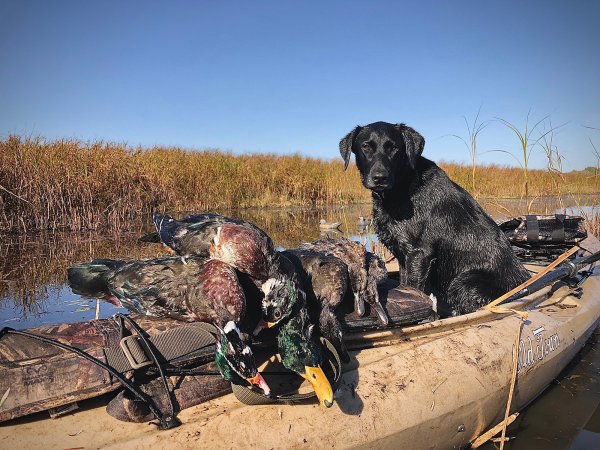 duck hunting kayak