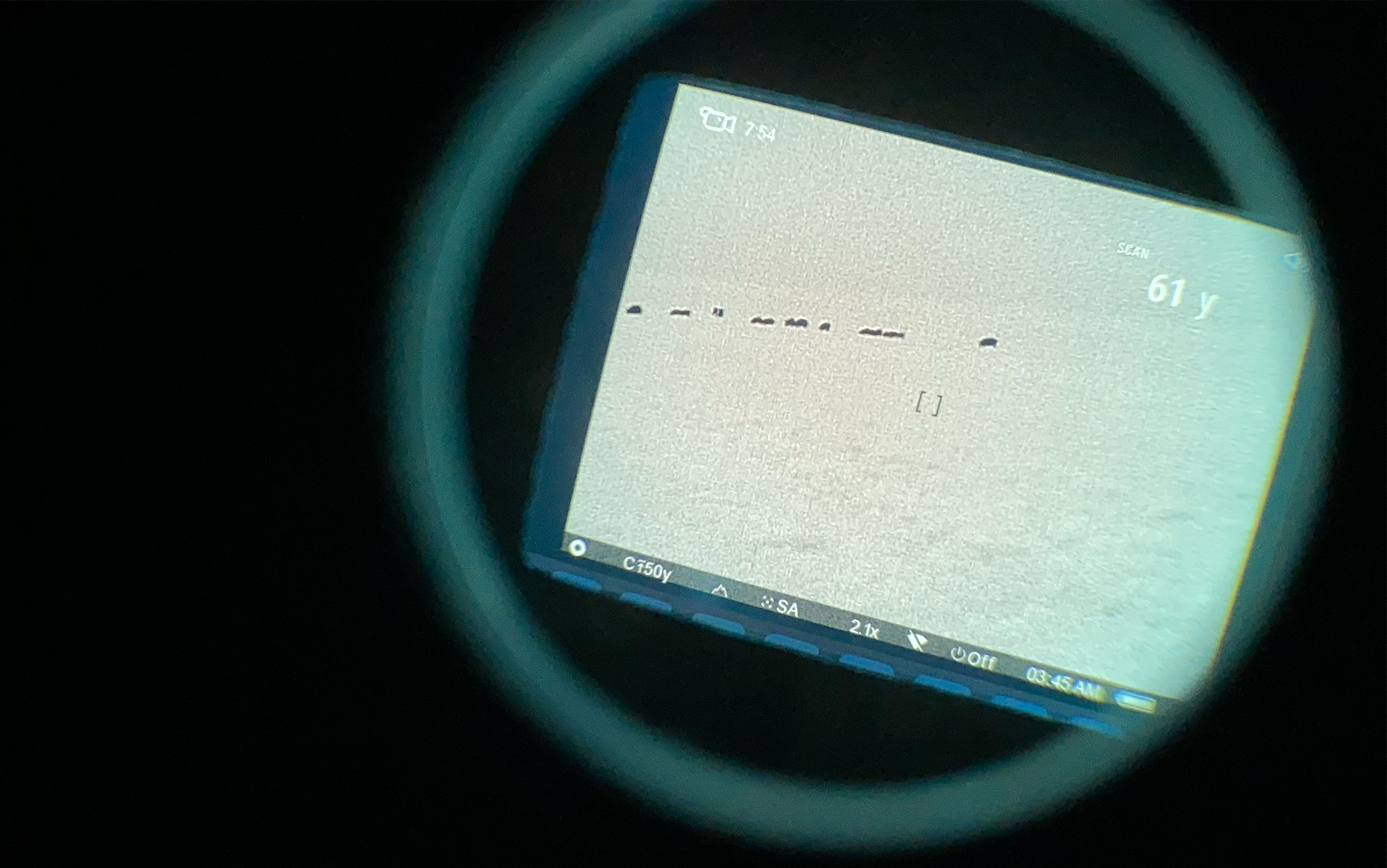 Spotting hogs through the Pulsar Thermion.