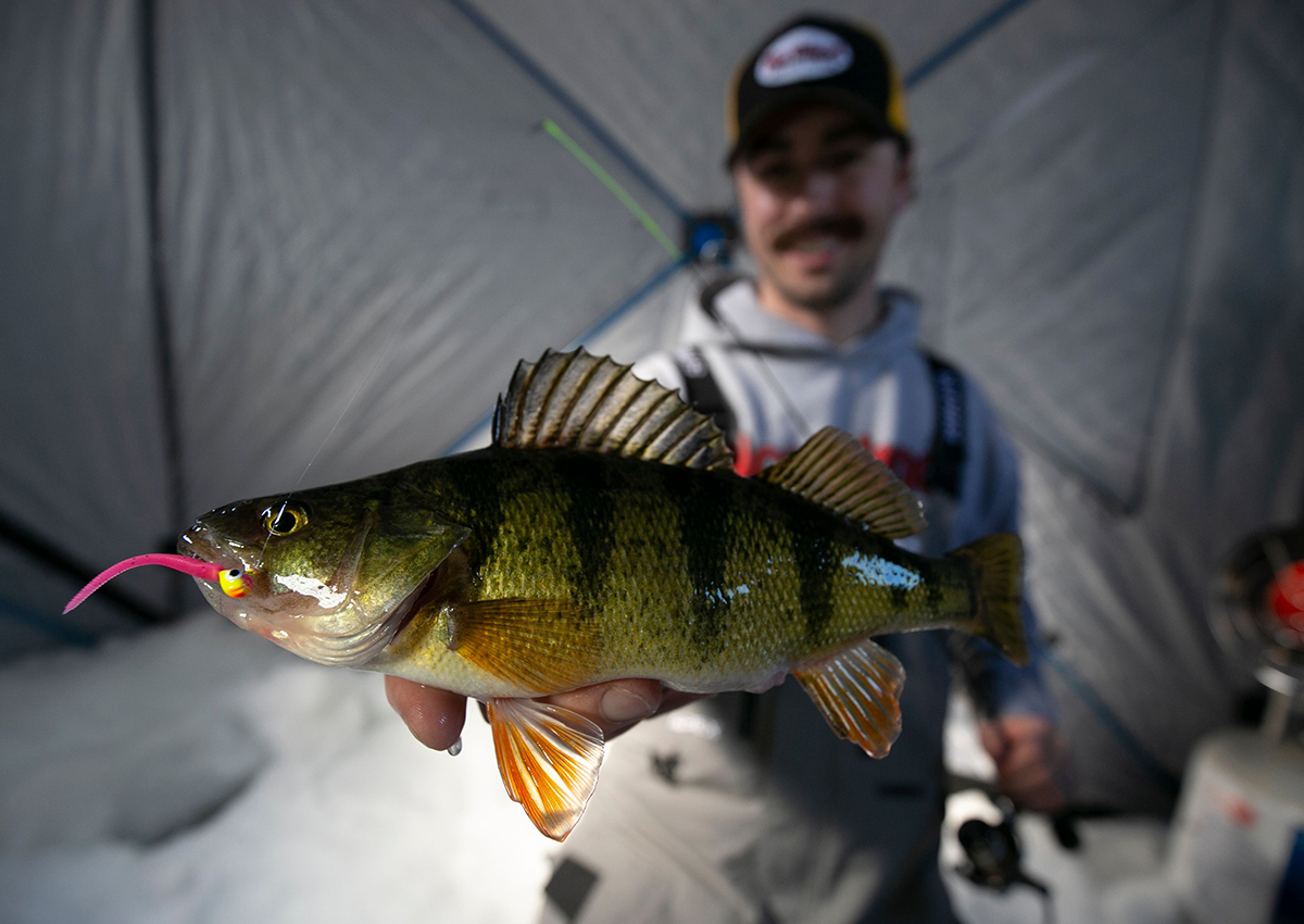 Top 5 Perch Ice Fishing Lures 