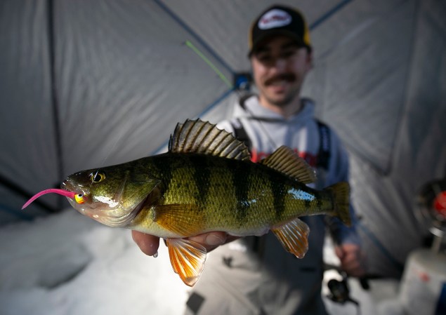 Best Baits: 15 Hottest Lures for Panfish