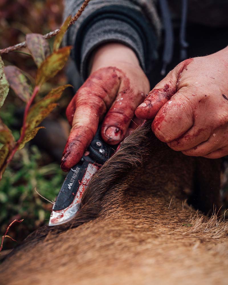 Outdoor edge razorlite The Best Hunting Knives of 2024