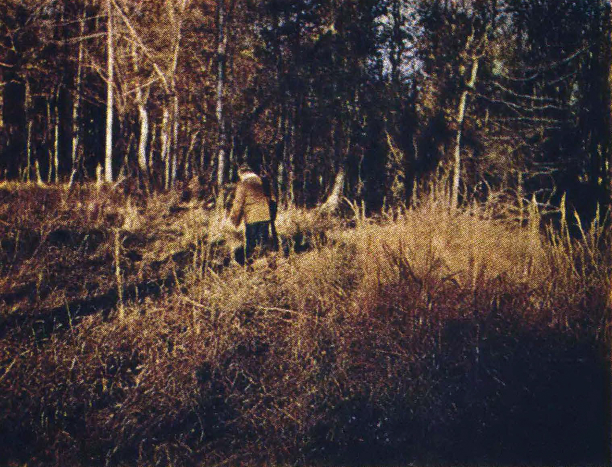 A kid sets off into the swamp on his own.