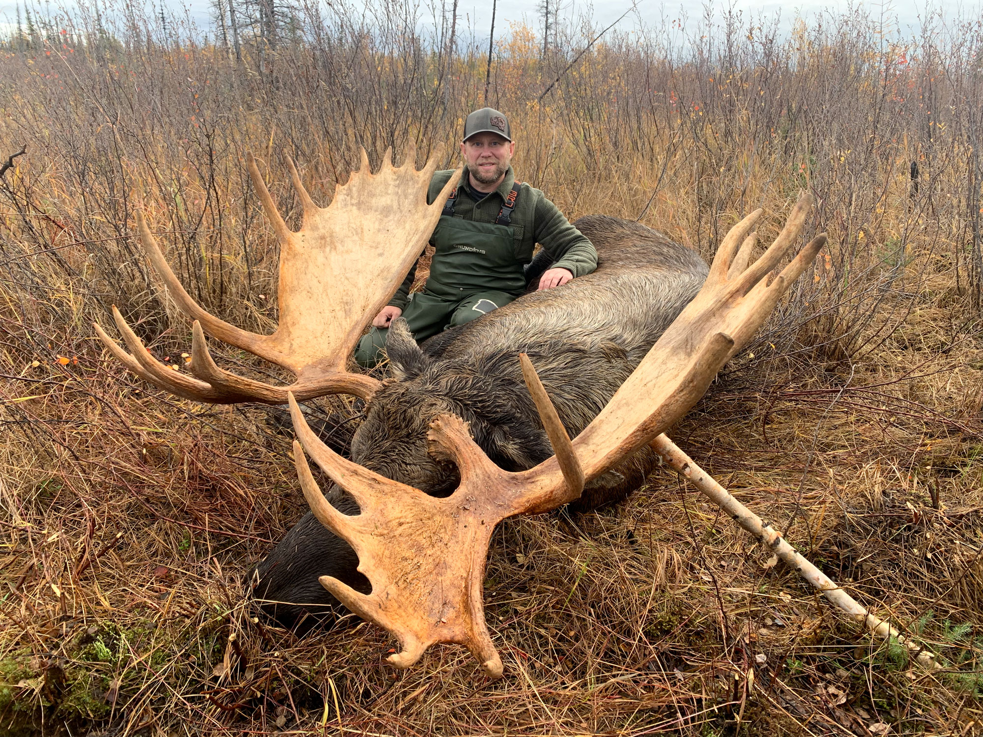 bull moose taken with .308 ammo for hunting