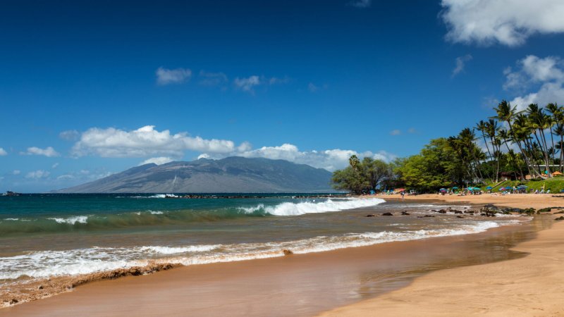 Shark attack on snorkeler in Maui