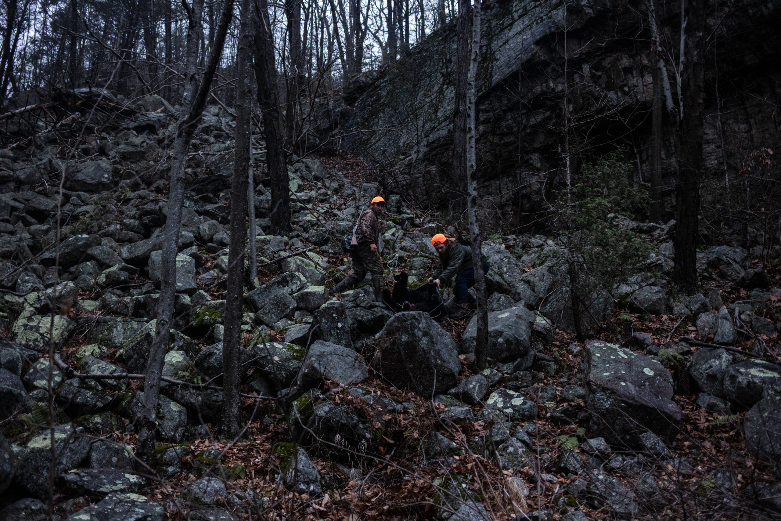 New Jersey hunters haul out a black bear.