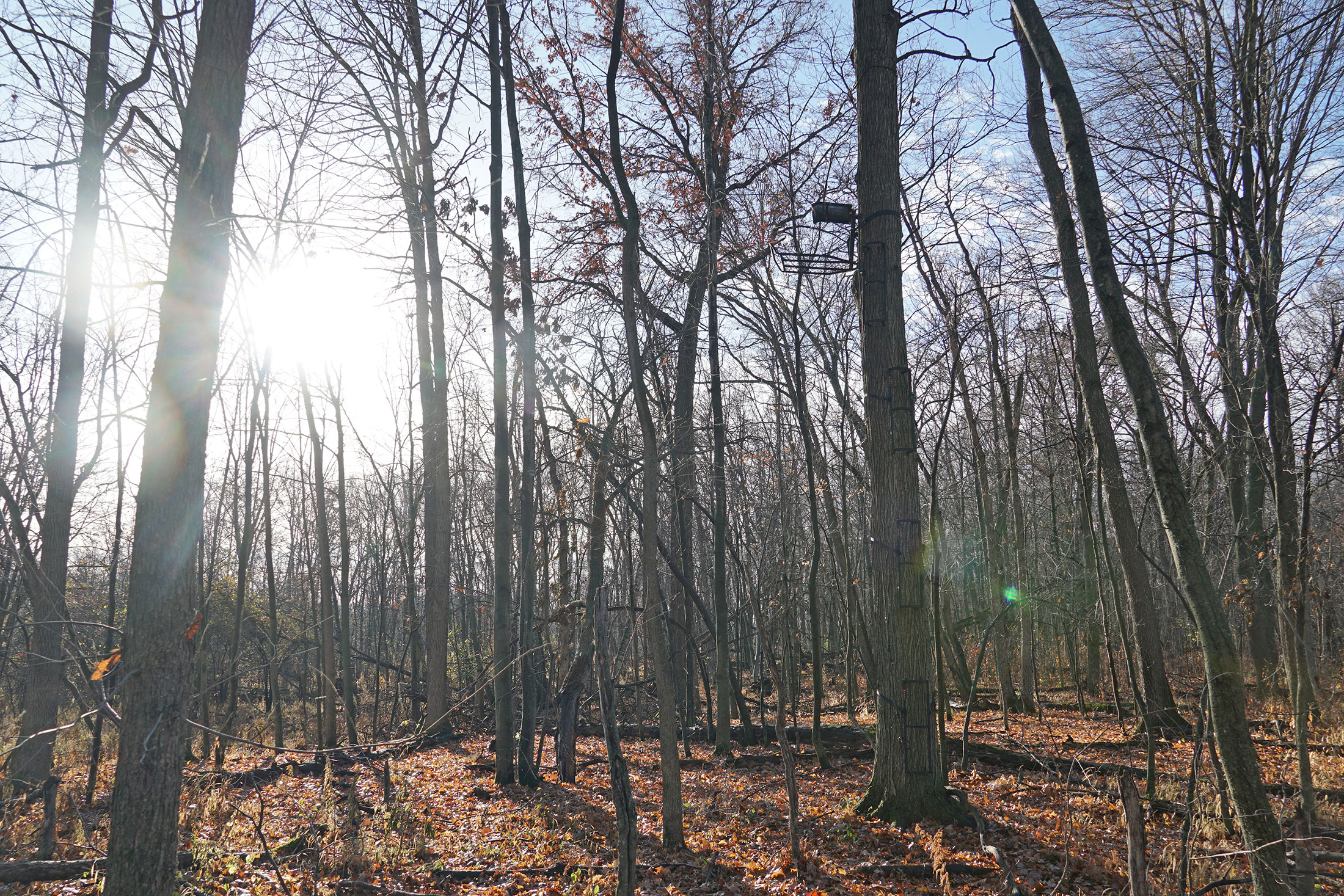 Wisconsin deer hunting