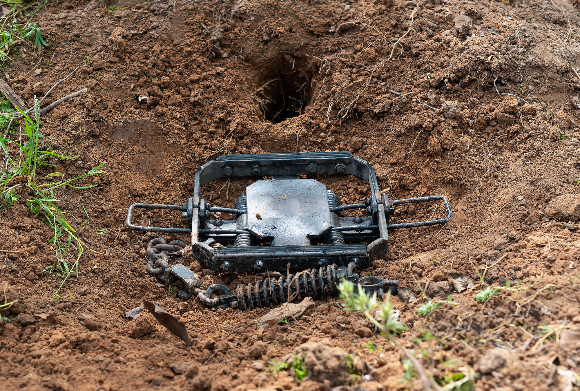 AdobeStock 499447126 fully modified humane trap How to Trap Coyotes: The Basic Gear and Skills You Need to Get Started