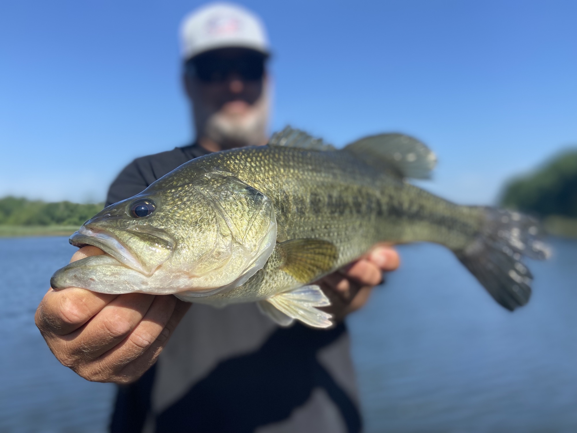 A couple of questions from a new smallmouth bass fisherman : r/bassfishing