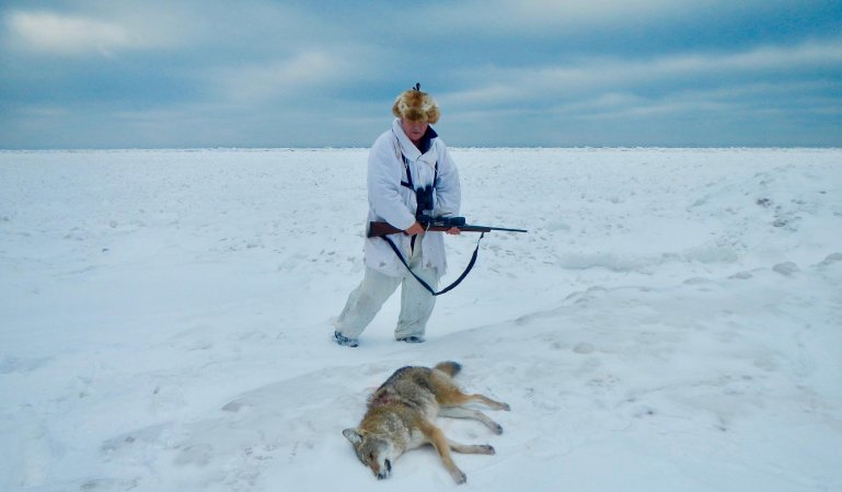 coyote hunting lake superior