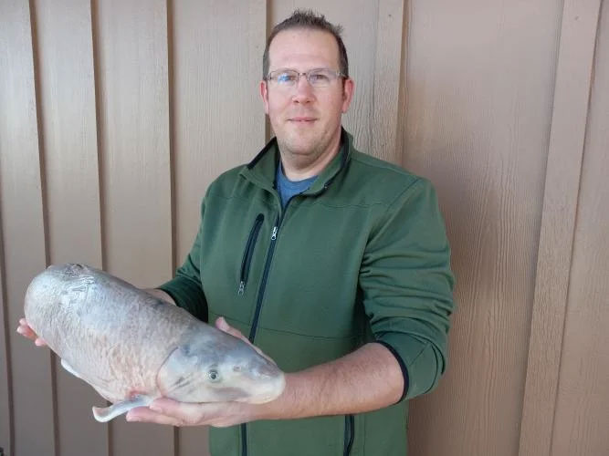 Georgia Angler Catches 70-Pound Catfish on Light Tackle