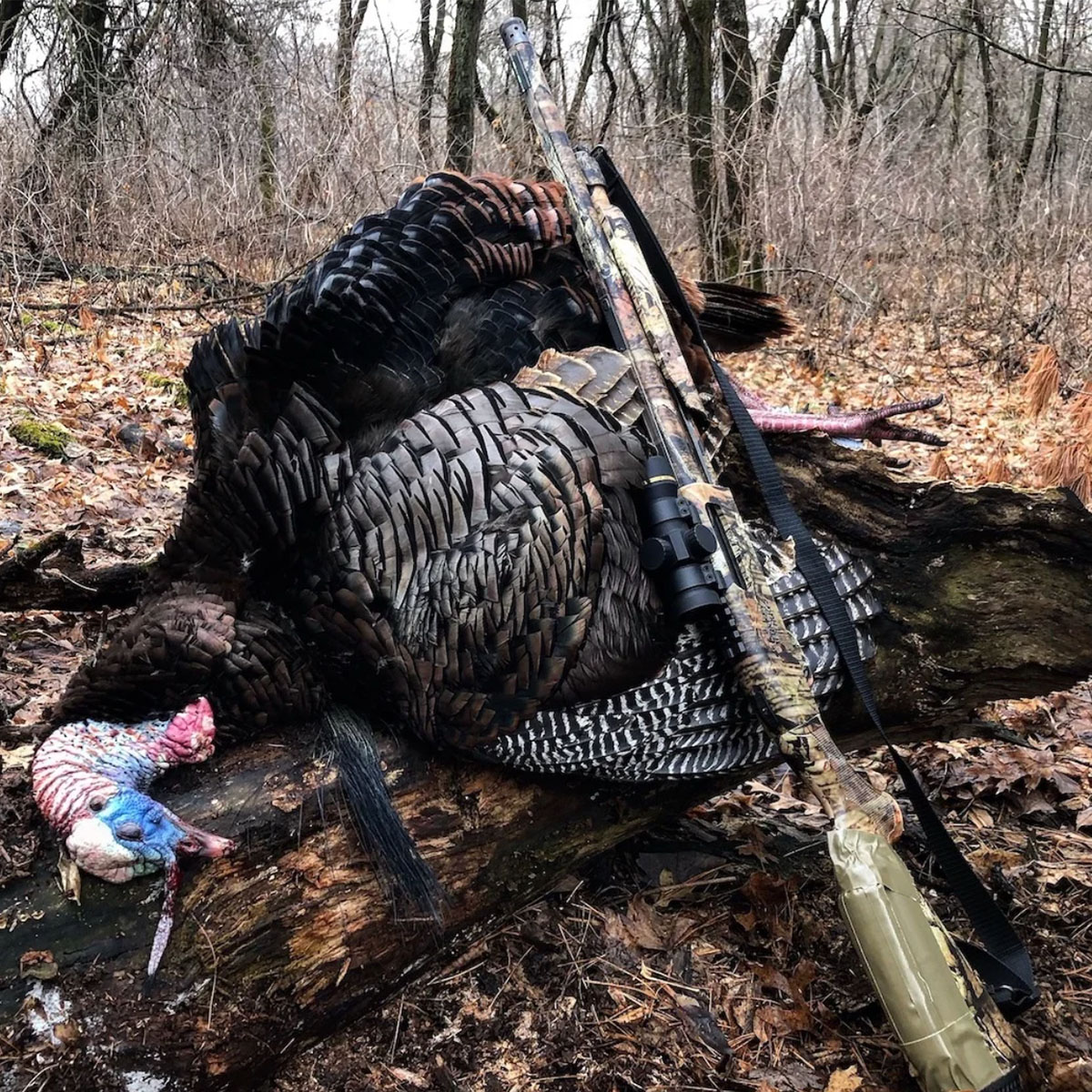 The Leupold Freedom sits higher on a shotgun.