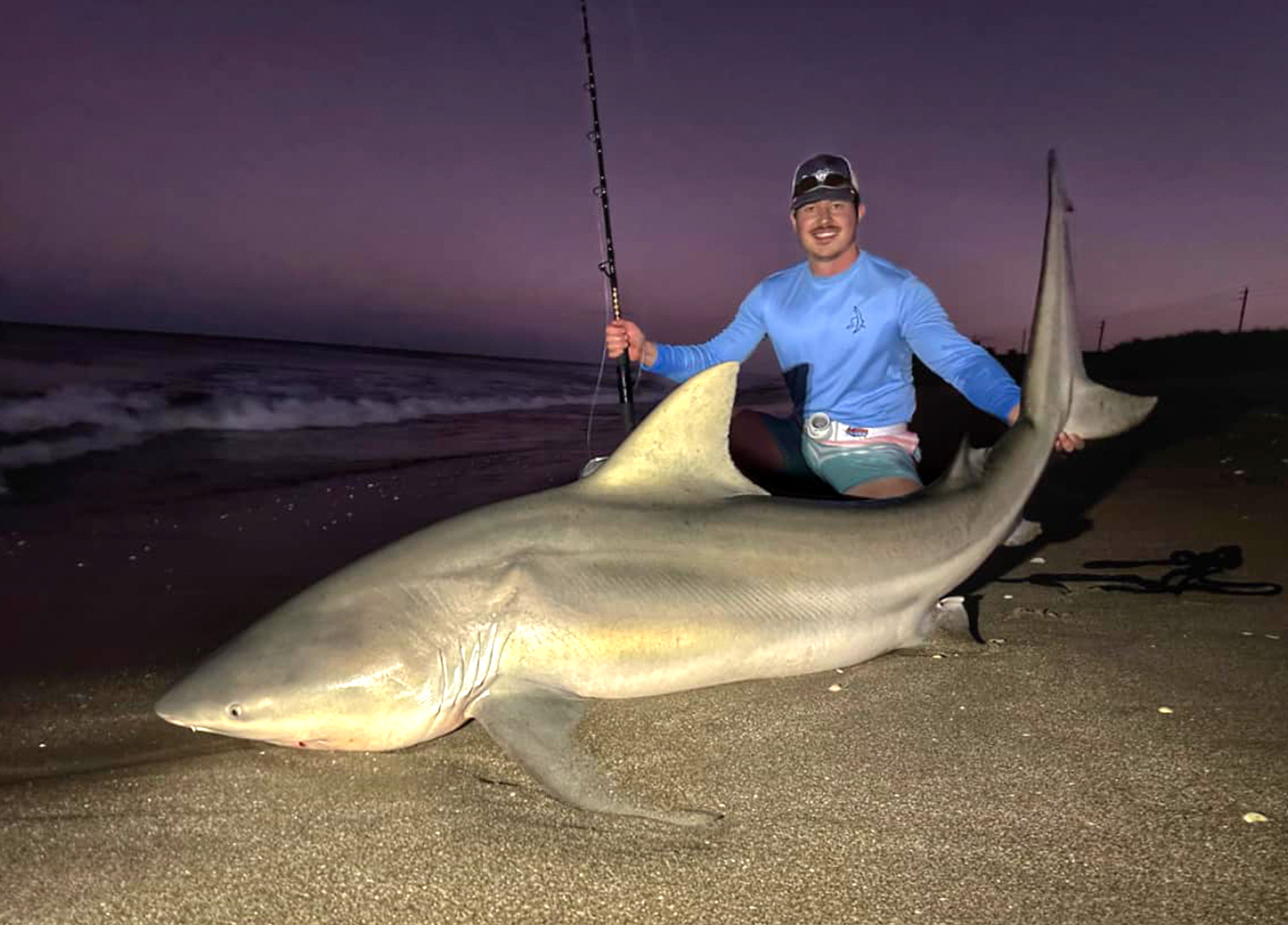 Sharks - Florida Saltwater Fishing