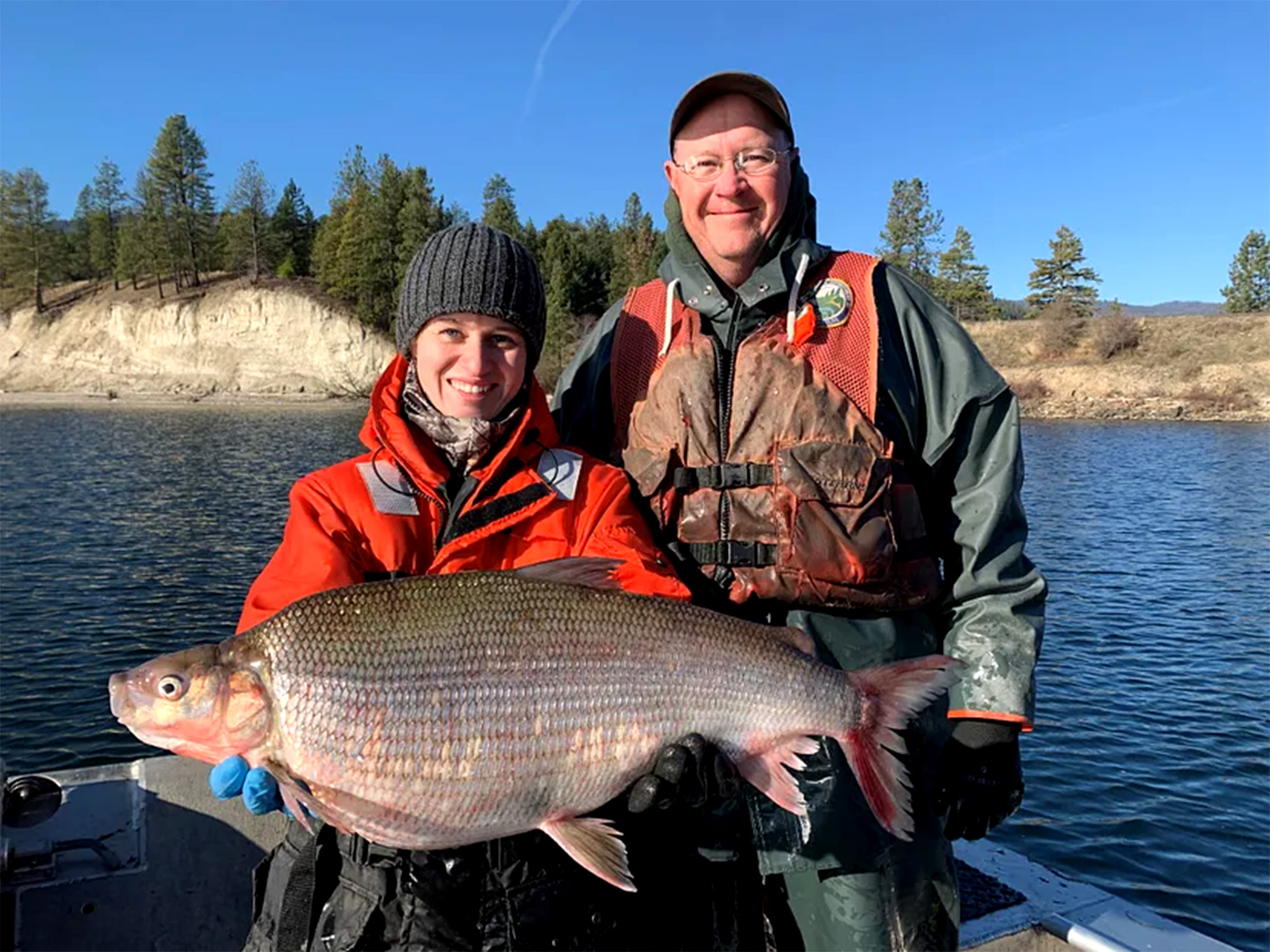 Walleye Fisherman Catches State-Record Lake Whitefish | Outdoor Life