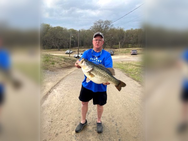 WHAT A CATCH: Lubbock man reels in 14.36-pound bass, 1st Toyota ShareLunker  Legacy Class largemouth of season