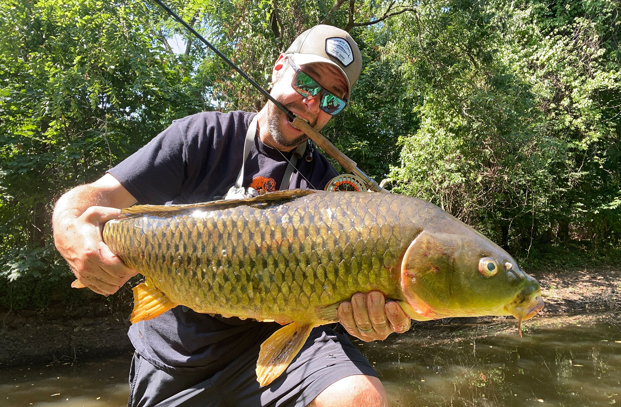 BIG CARP ON TINY LURES!  The Full Scale 