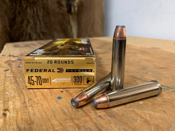  .45/70 bear cartridges