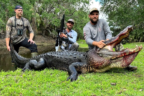 Alligator Sightings Close Michigan Nature Center 