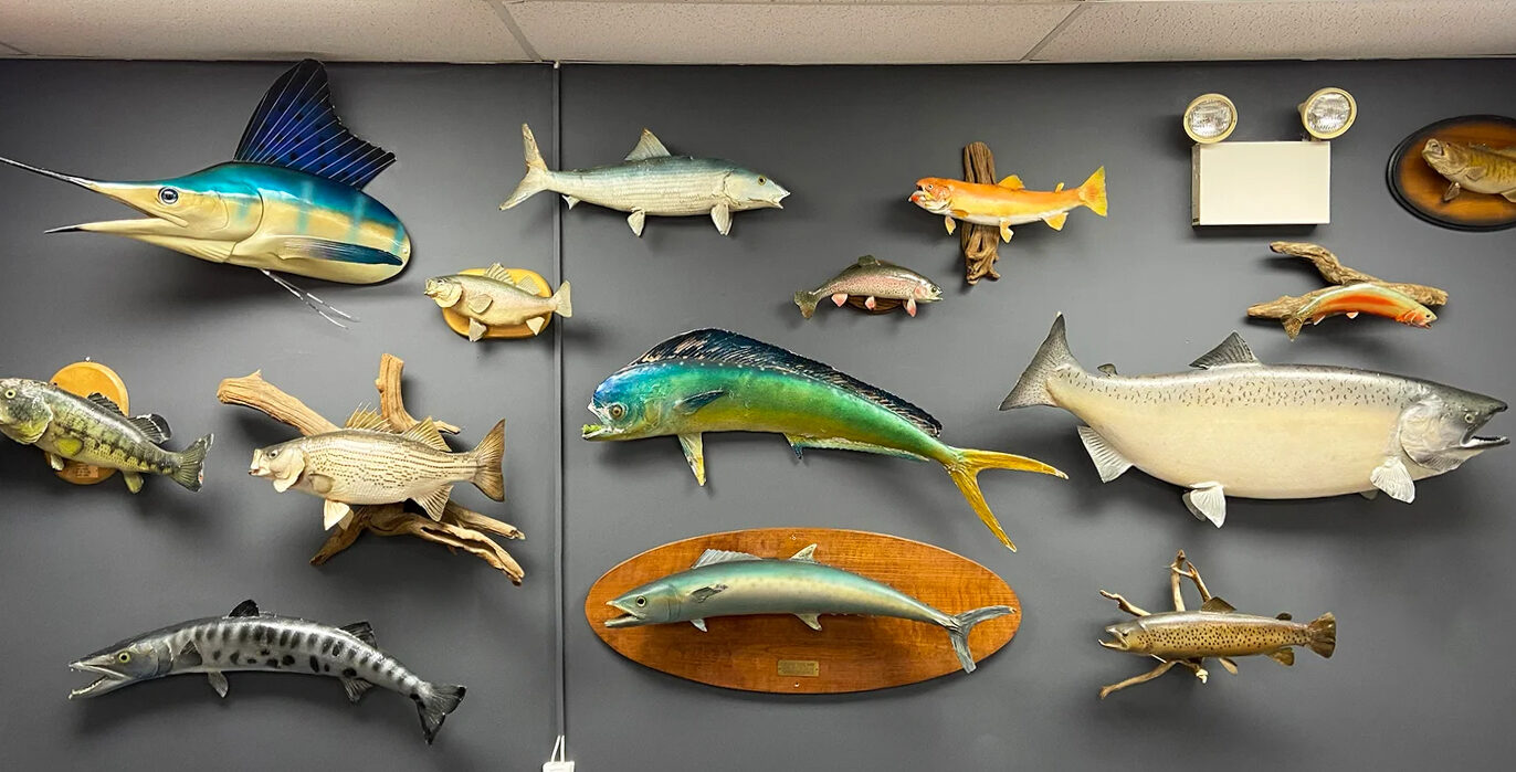 Folk Art Painted Barracuda Fish Decoy, Lure Sculpture