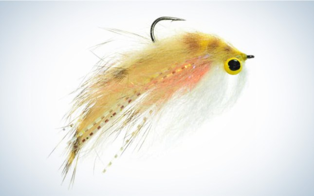 Streamers for Trout Jigged Rainbow Minnow Fly Fishing Streamers and Fishing  Lures Fly Gifts and Premium Flies 