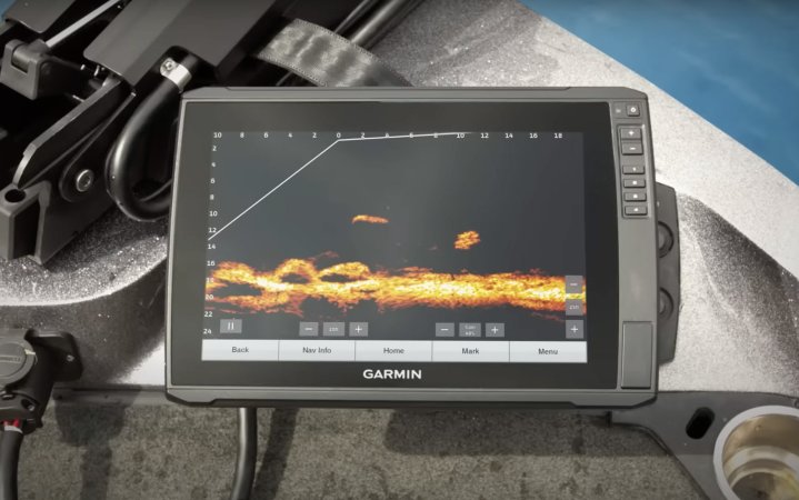 A look at LiveScope Plus. A long fish (center) approaches a school of bait fish (right).