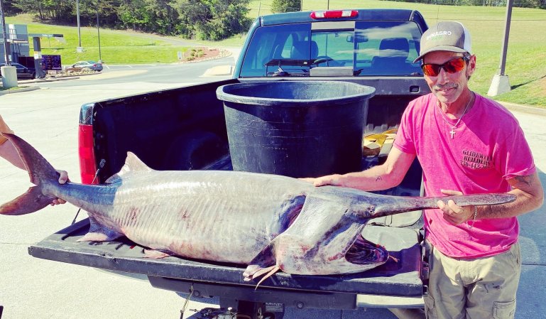 TN record paddlefish 1