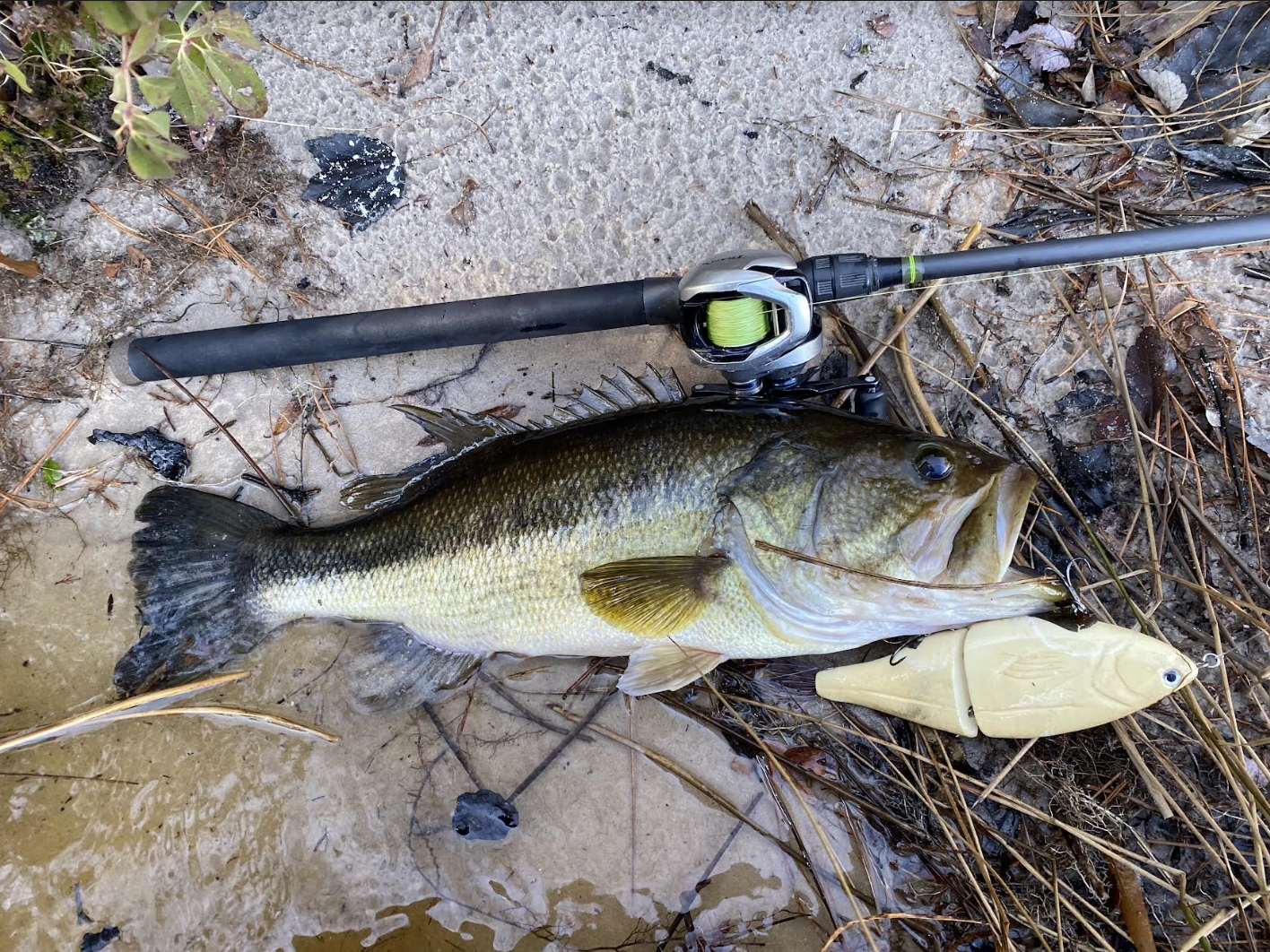 What do you generally find to be the best way to add weight to a glide bait  to keep it from coming out of the water? - Fishing Tackle - Bass Fishing  Forums