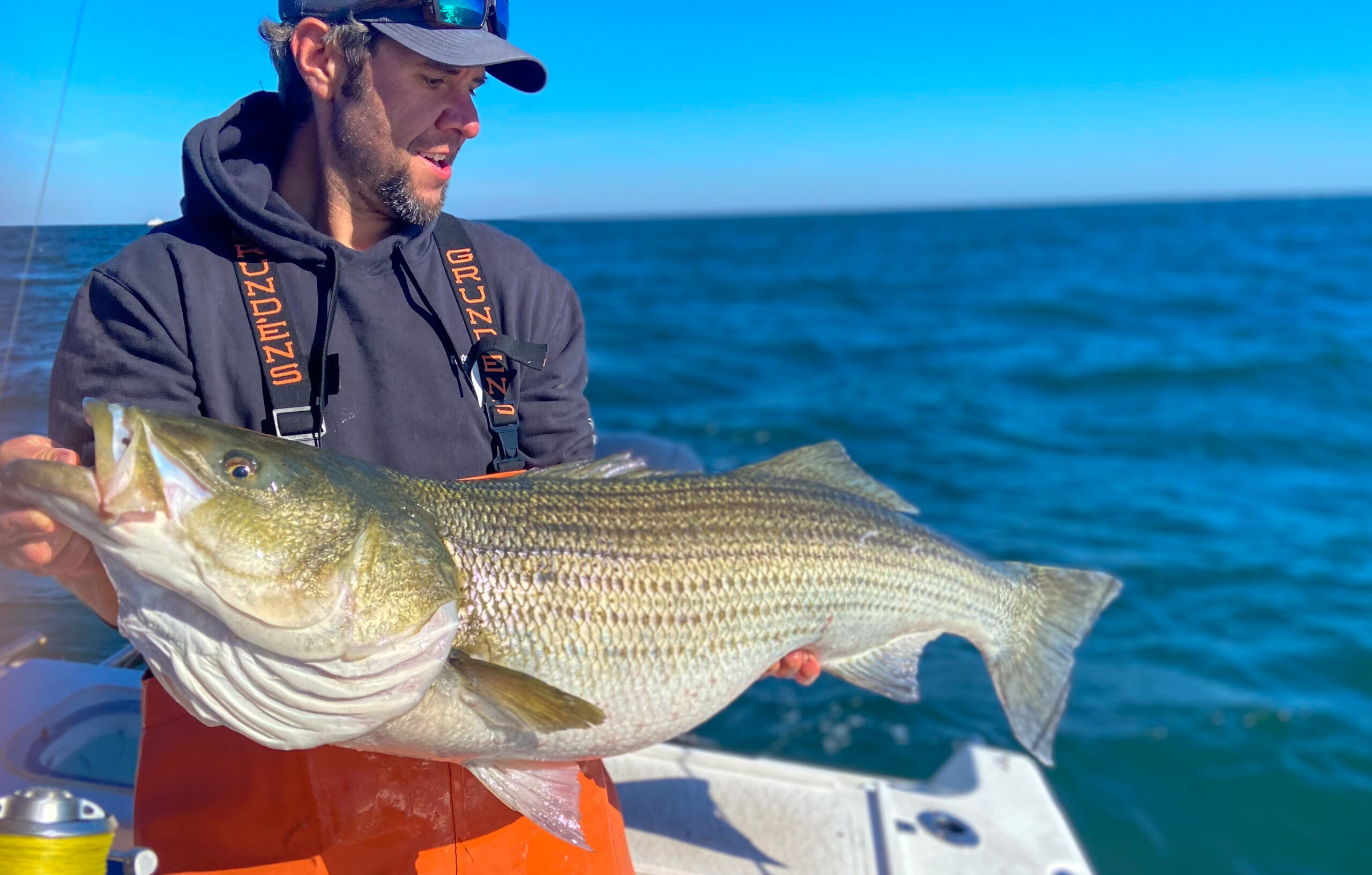 Arkansas angler reels in massive striped bass, releases it before