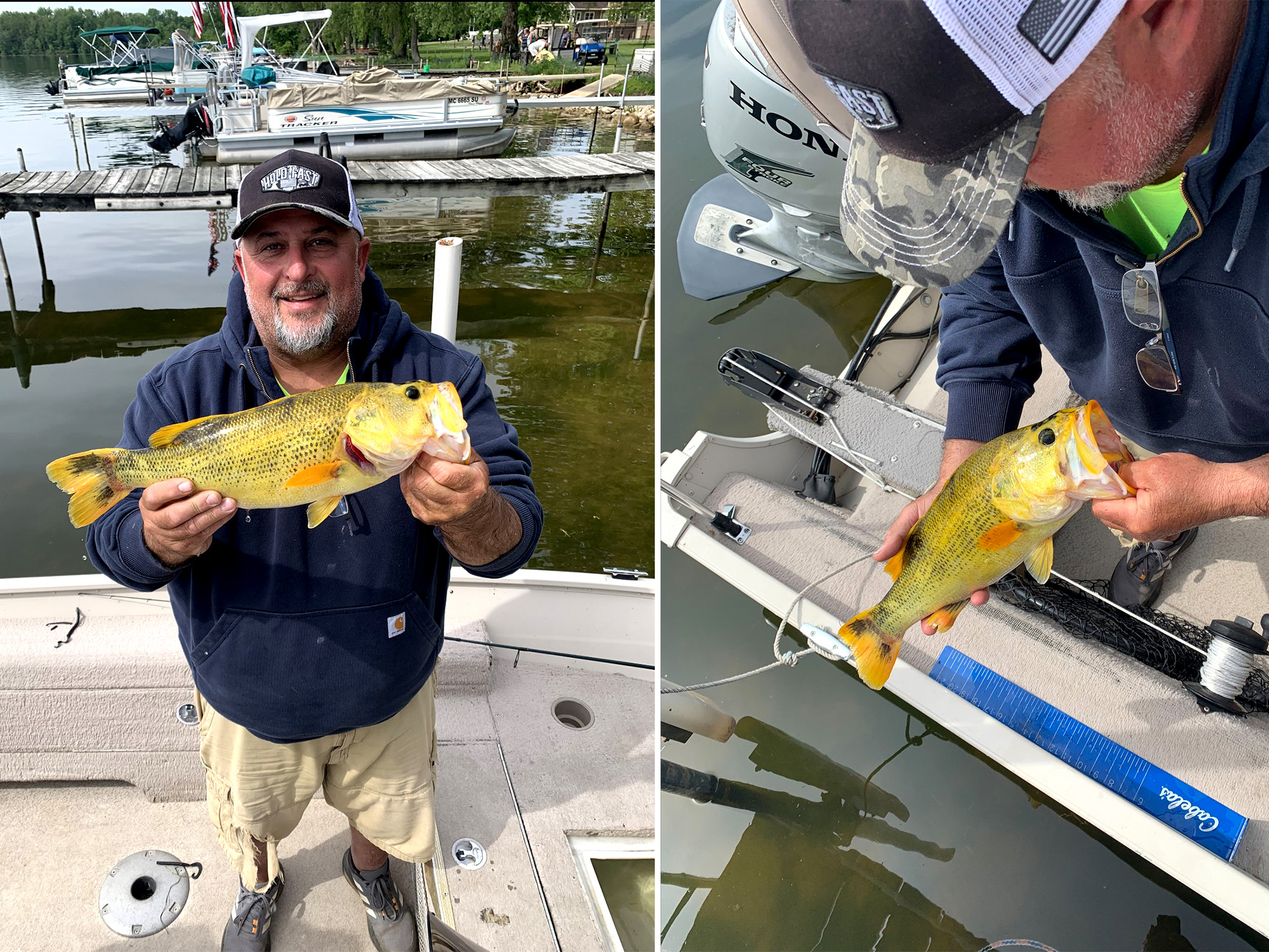 Yellow River Catfish  Pensacola Fishing Forum