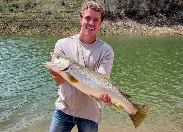 kody king idaho record tiger trout