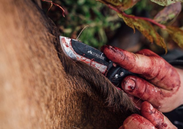 We tested the best hunting knives.