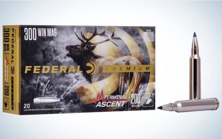  Federal Premium Terminal Ascent 200-grain is best for big game.