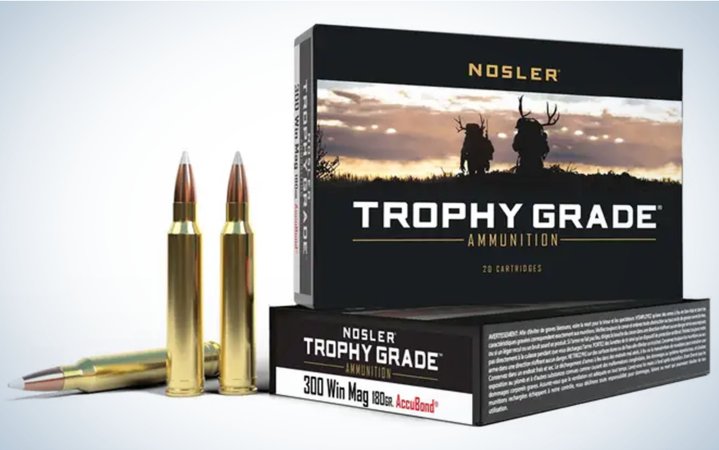  Nosler Trophy Grade 180-grain AccuBond is best for big game hunting.