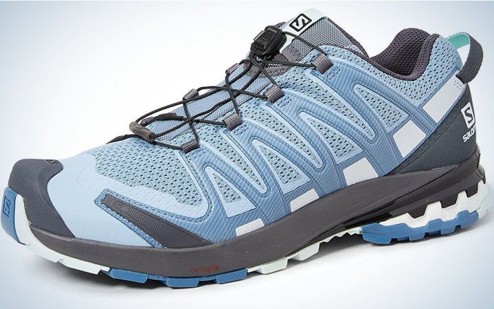  The Salomon XA Pro 3D V8 are the best high drop shoe.