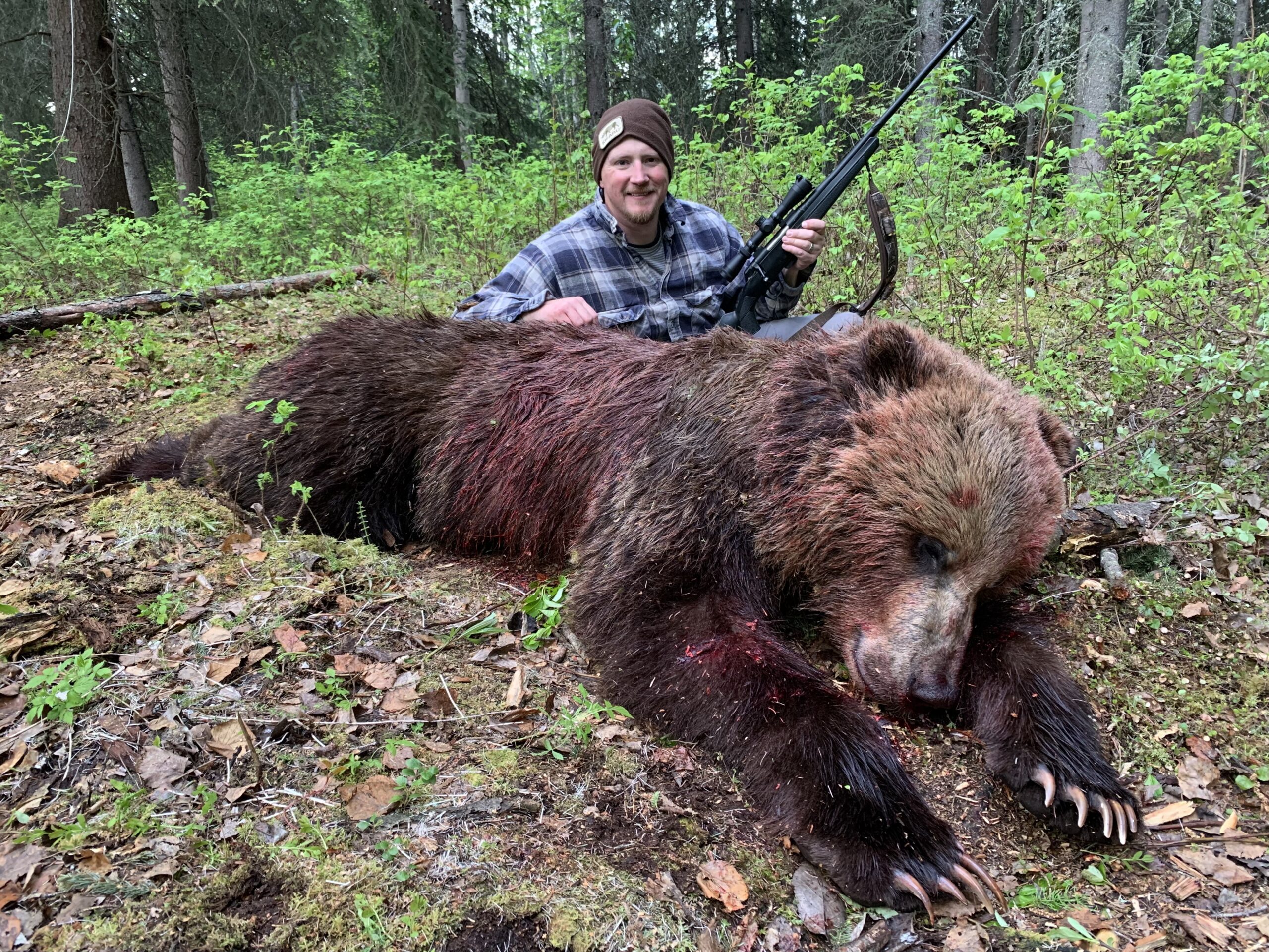 Grizzly bear killed with 6.5 Creedmoor