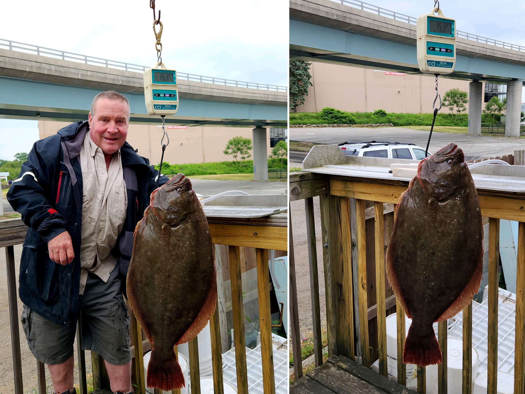 Potential California state record crappie weighing 4-plus pounds