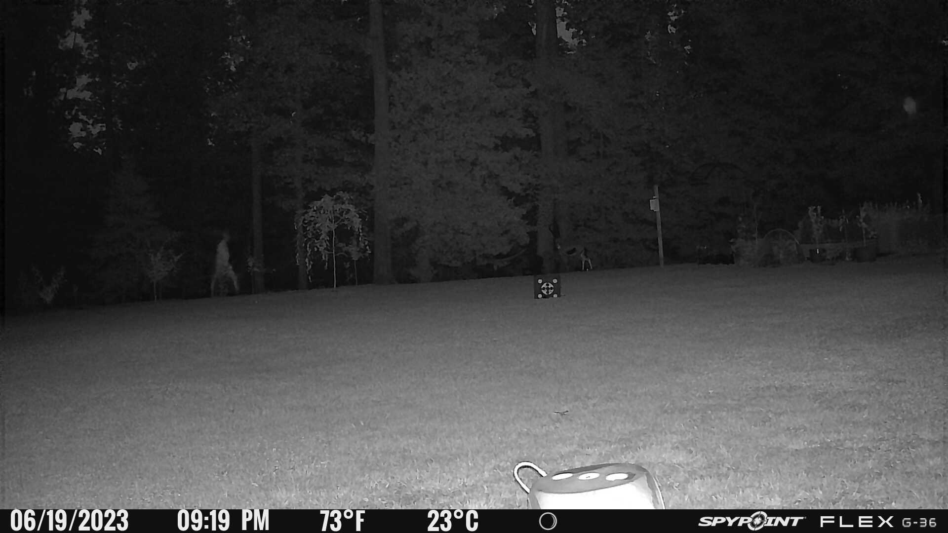 The author conducts the trail camera walkthrough test at night.