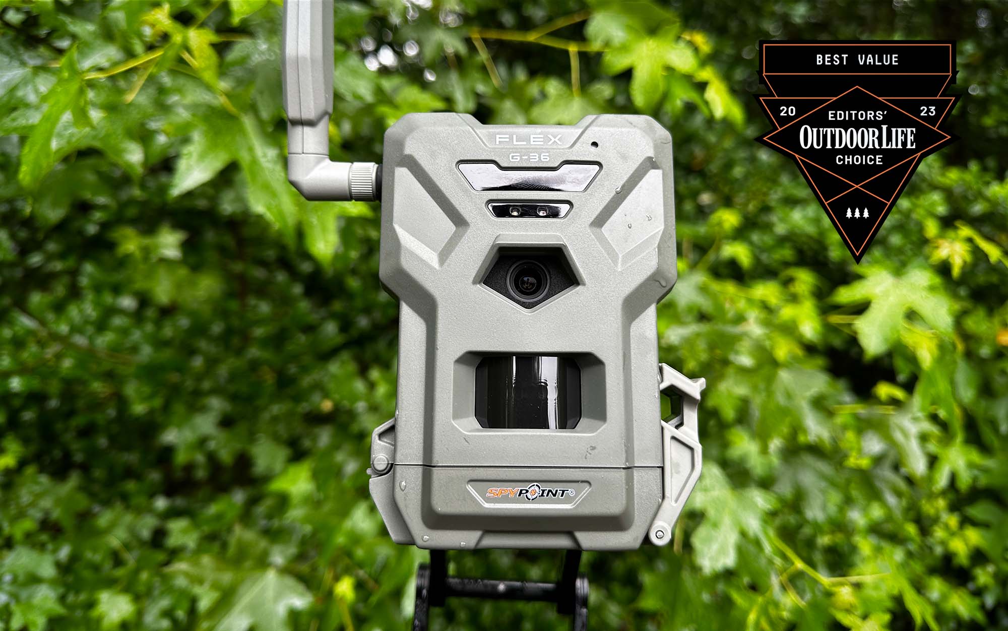Best Cellular Trail Cameras of 2024, Tested and Reviewed