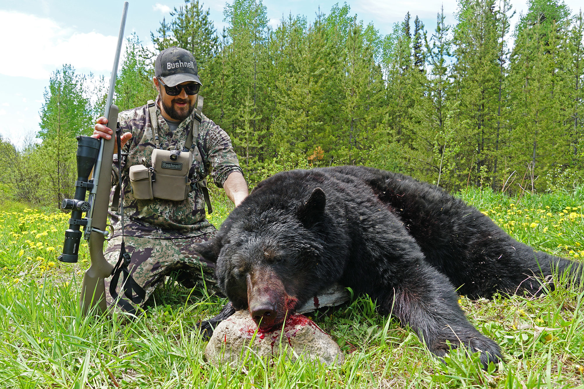 Hunting and Butchering Wild Black Bear