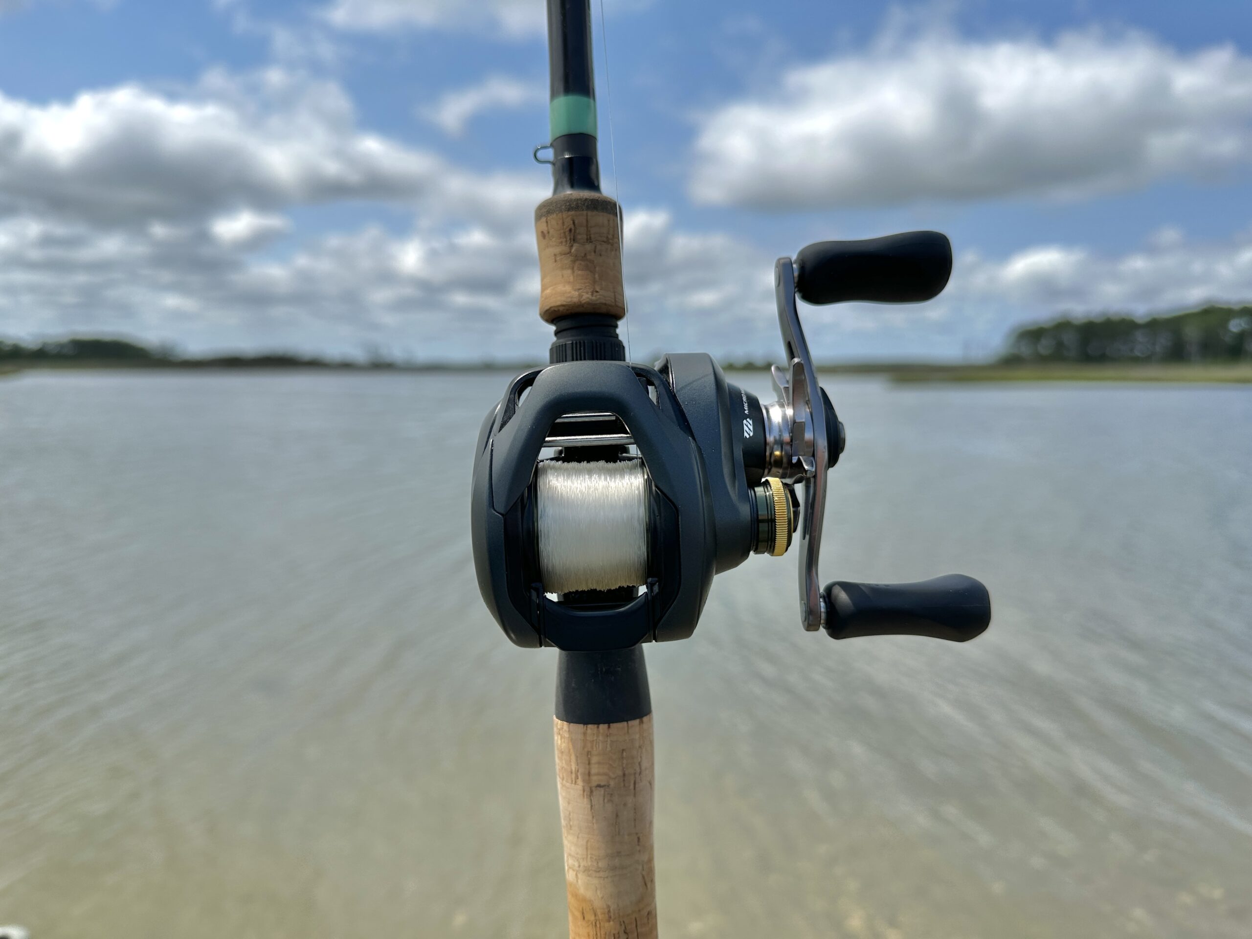 Best Budget Baitcasting Reel Reviews 2017 - Reel Saltwater Fishing
