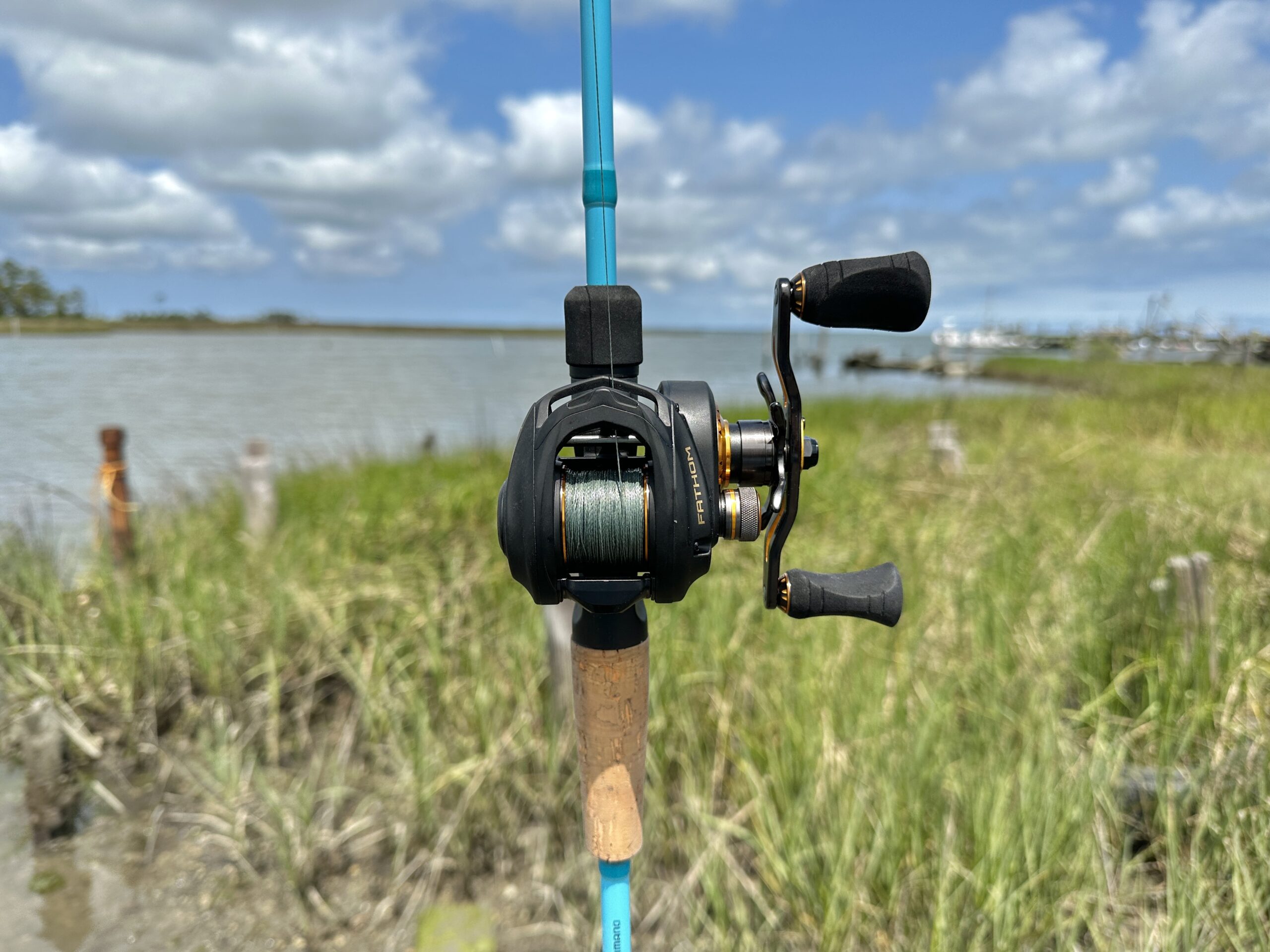 How are baitcasting reels different from other reels - Wild Mammal