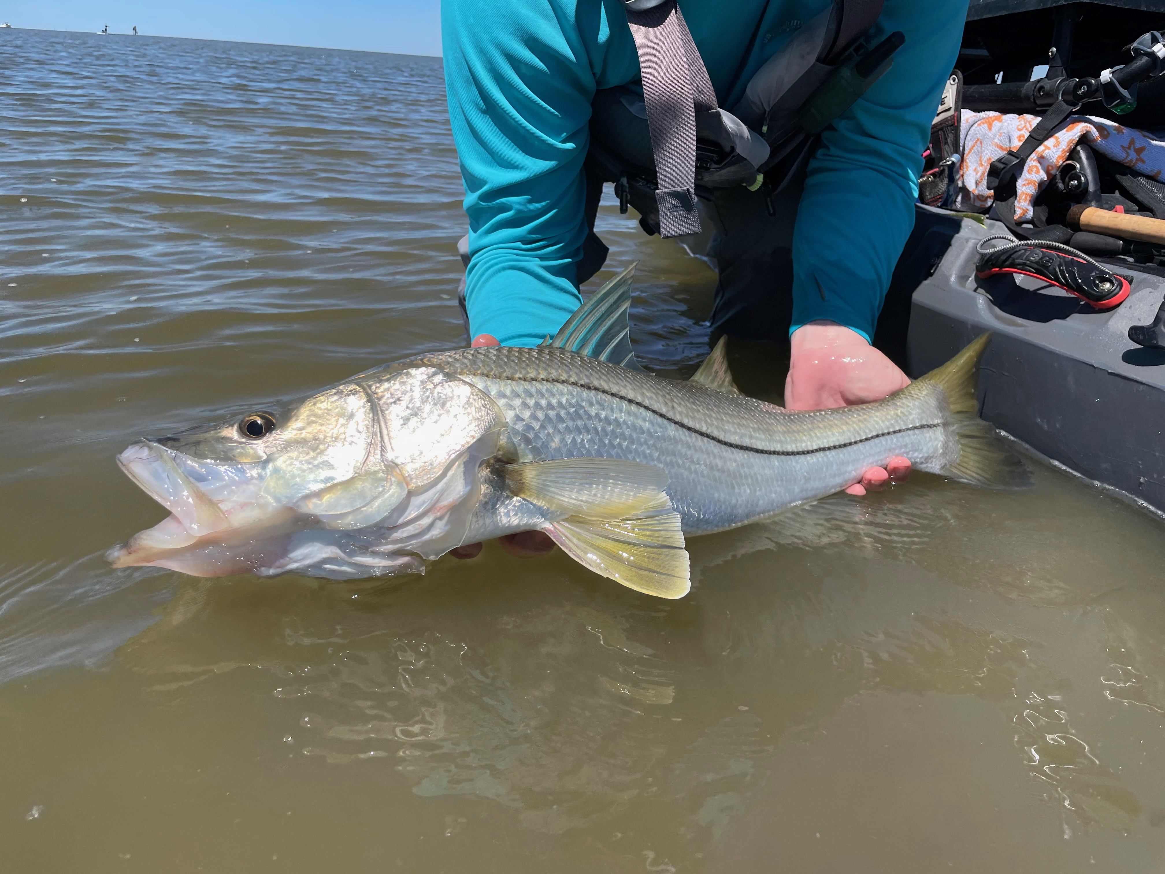 inshore reels 15 The Best Inshore Spinning Reels of 2024, Tested and Reviewed