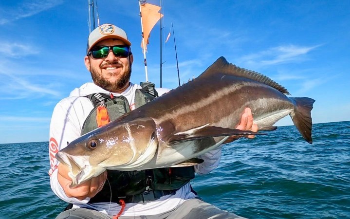 The author caught a wide range of species while testing the best inshore reels.