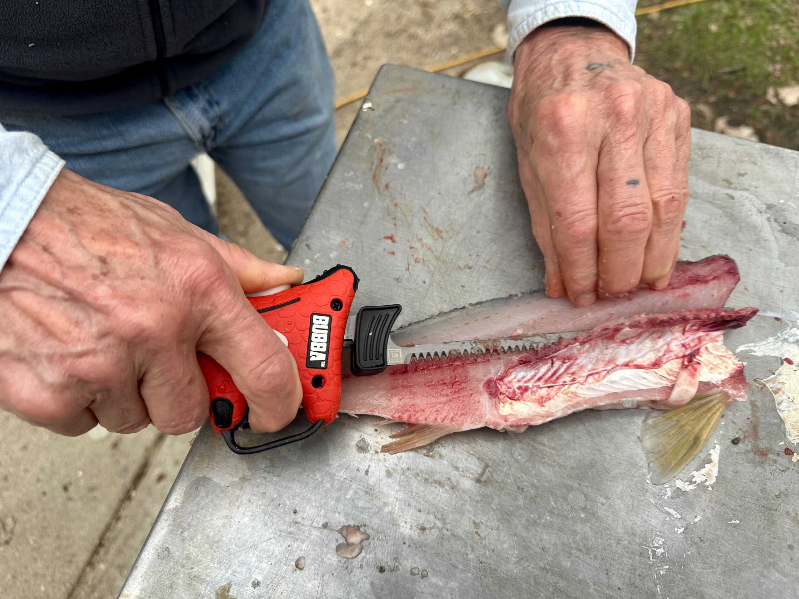 Rapala R12 fillet knife cutting through rib bones