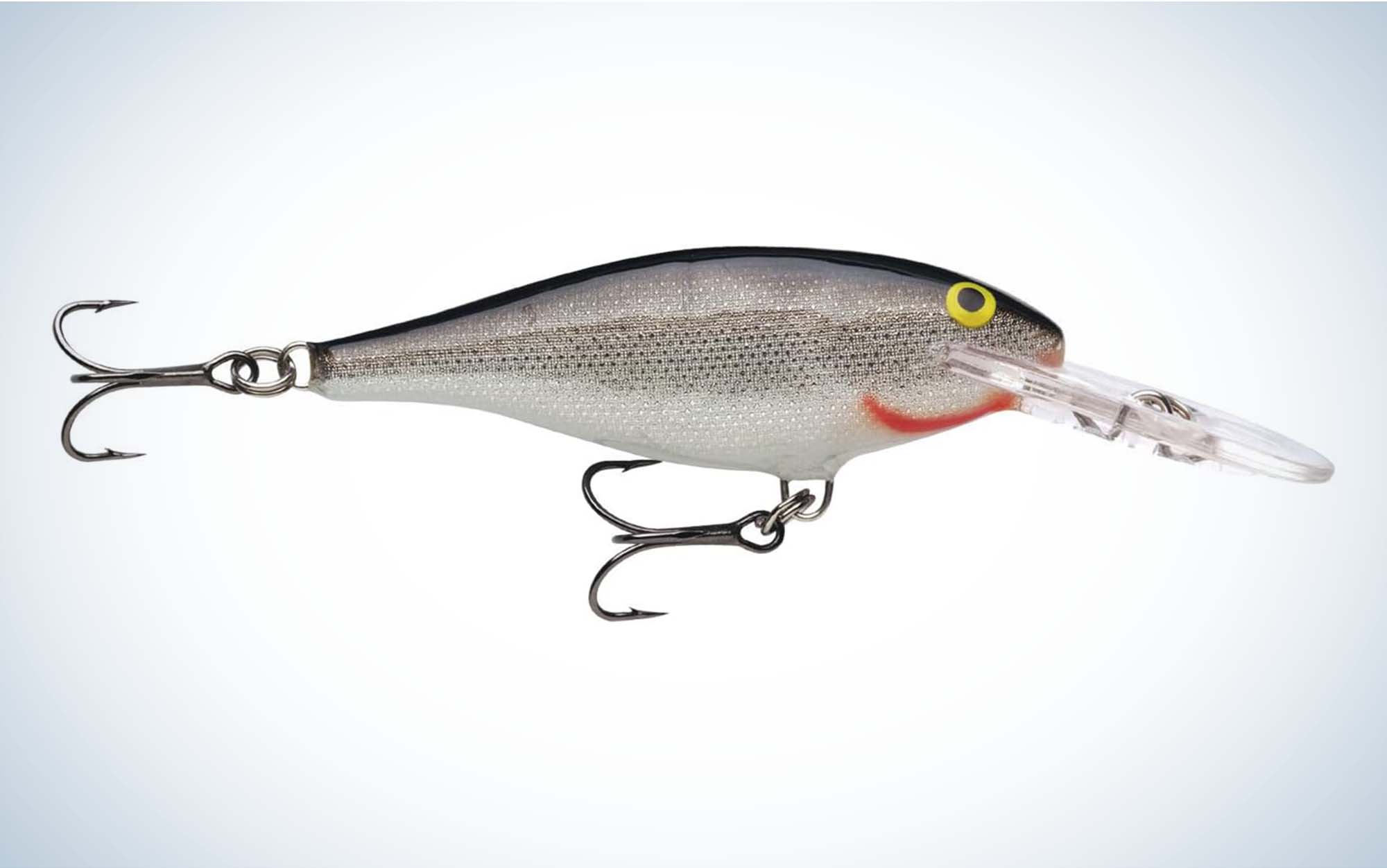 5 Cold Water Lures That Will Catch You More Bass